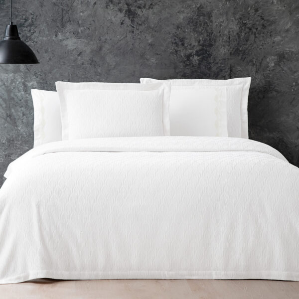 Alternative view of Stella