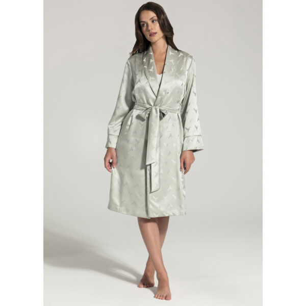 Alternative view of Colibri Sabahlıklar